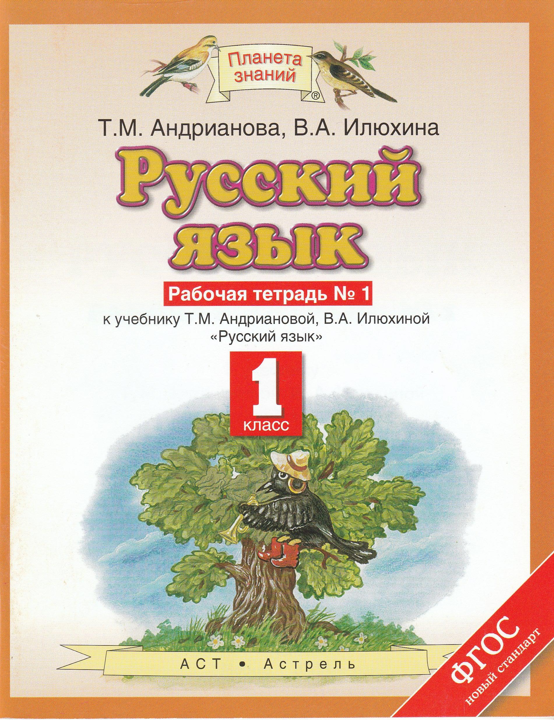 Русский язык 1 класс. Рабочая тетрадь 1