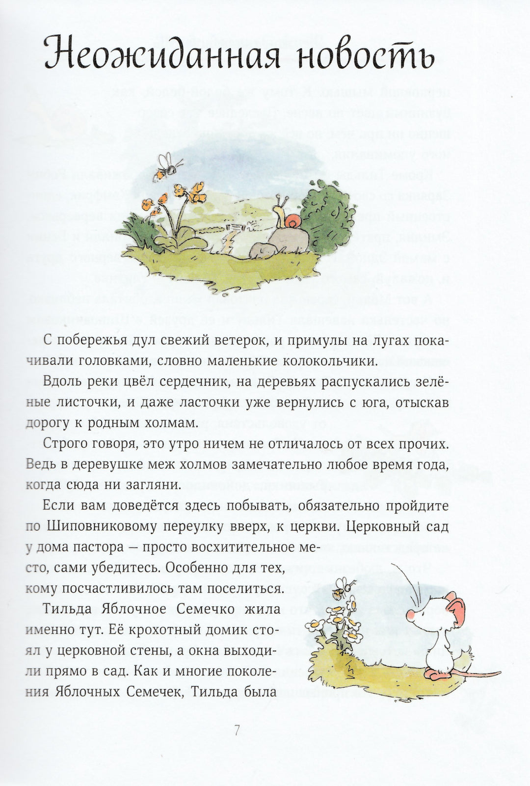 Тильда Яблочное Семечко. Большой переполох-Шмахтл Андреас Х.-Манн, Иванов и Фербеp-Lookomorie