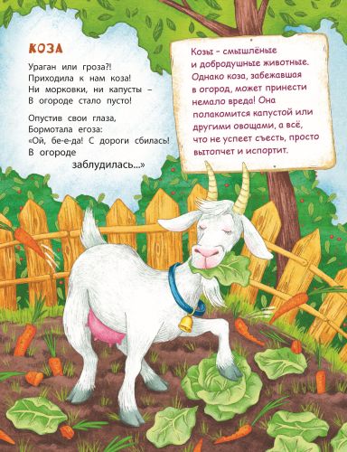 В небе и на земле-Боброва Т.Ю.-Энас-книга-Lookomorie