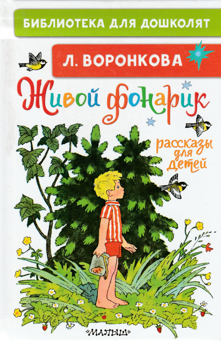 Живой фонарик. Рассказы для детей-Воронкова Л.-АСТ-Lookomorie