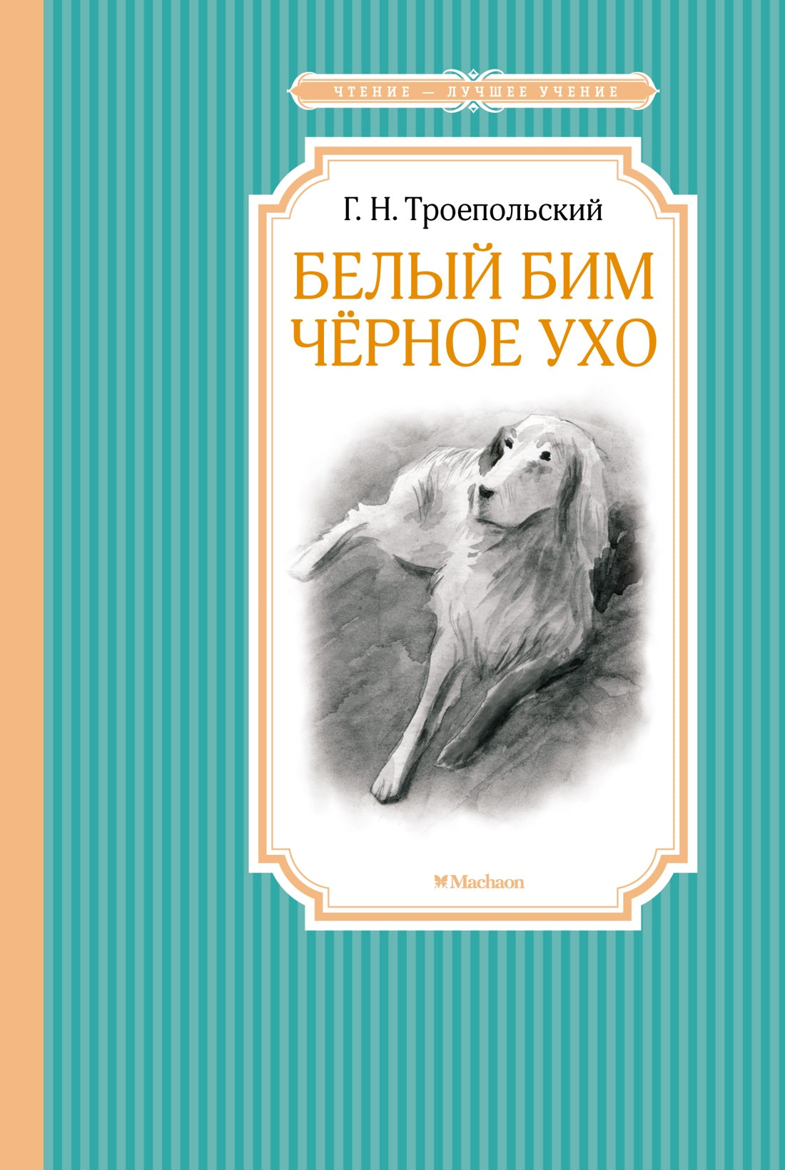 Новинки
