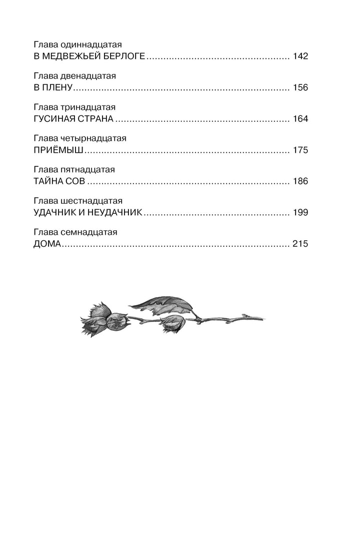 Чудесное путешествие Нильса с дикими гусями-Лагерлёф С.-Азбука-Lookomorie