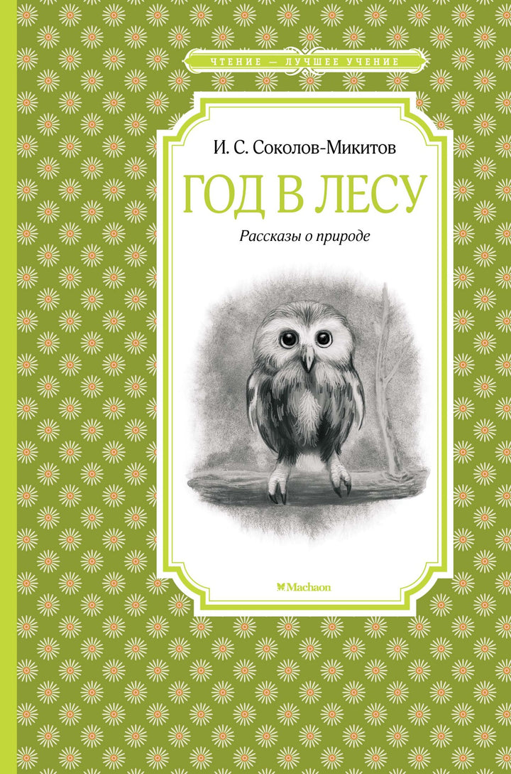 Год в лесу. Рассказы о природе-Соколов-Микитов И.-Азбука-Lookomorie