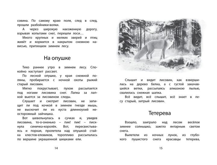 Год в лесу. Рассказы о природе-Соколов-Микитов И.-Азбука-Lookomorie