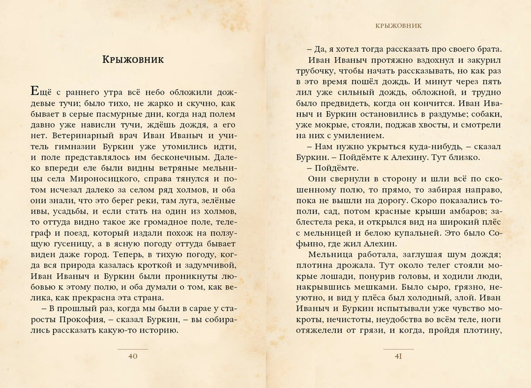 Дама с собачкой и другие рассказы (Малая книга с историей)-Чехов А.П.-ИД Мещерякова-Lookomorie