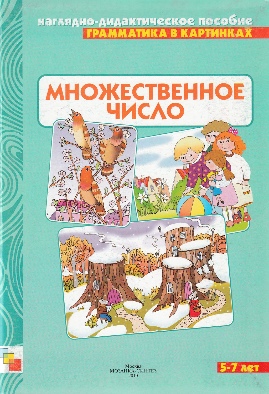 Грамматика в картинках Множественное число. 5-7 лет. Наглядно-дидактич