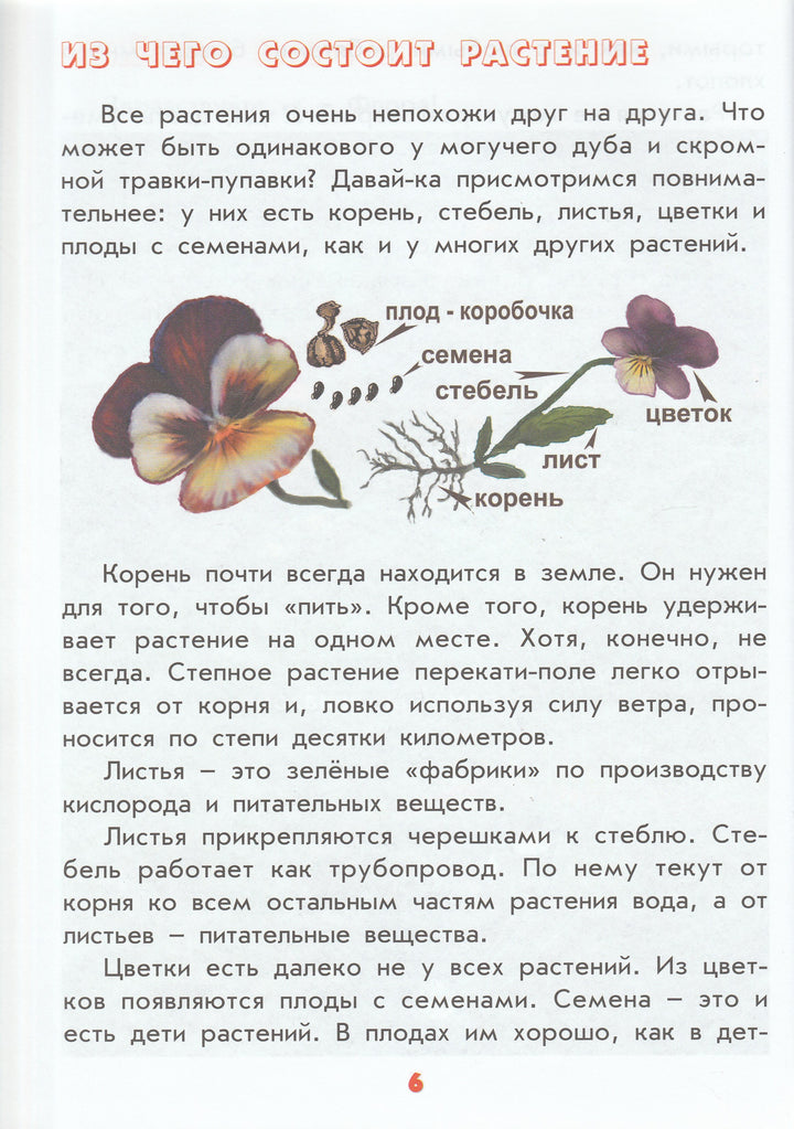 Настоящая ботаника для мальчиков и девочек. Тайны и секреты обыденных явлений-Лукьянова А.-Интеллект-Центр-Lookomorie