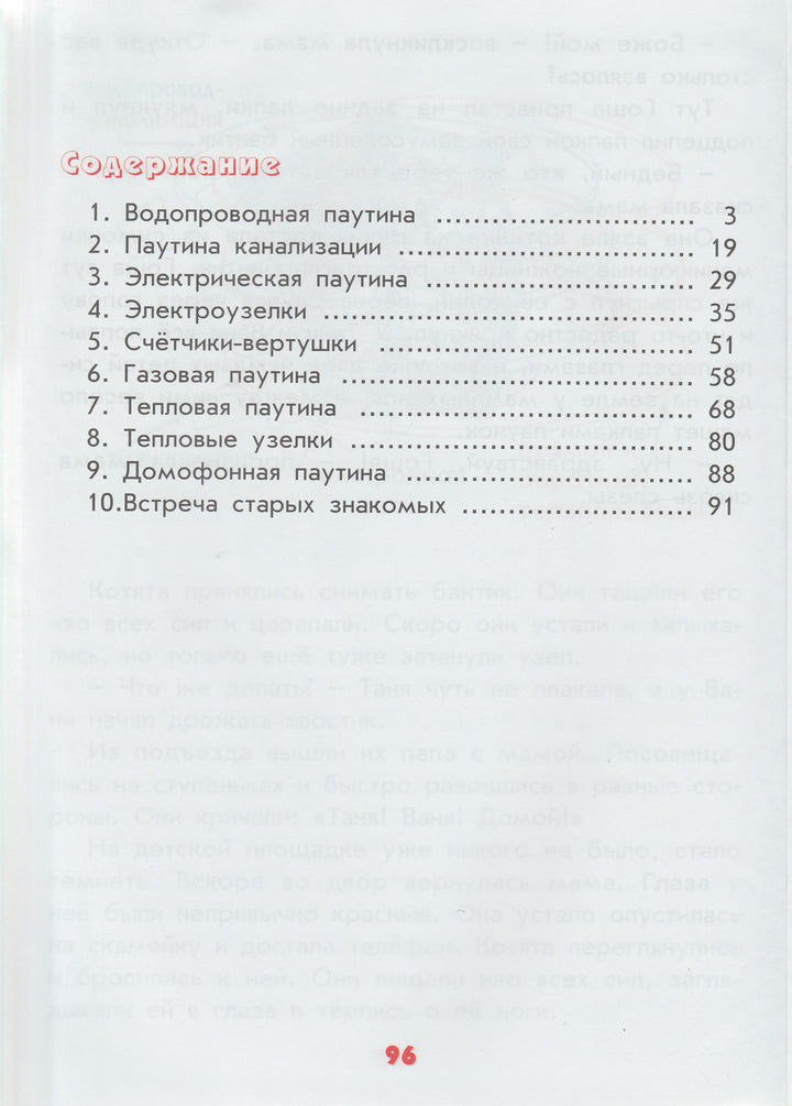 Мальчикам и девочкам о том, как устроен наш дом. Тайны и секреты обыденных явлений-Лукьянова А.-Интеллект-Центр-Lookomorie