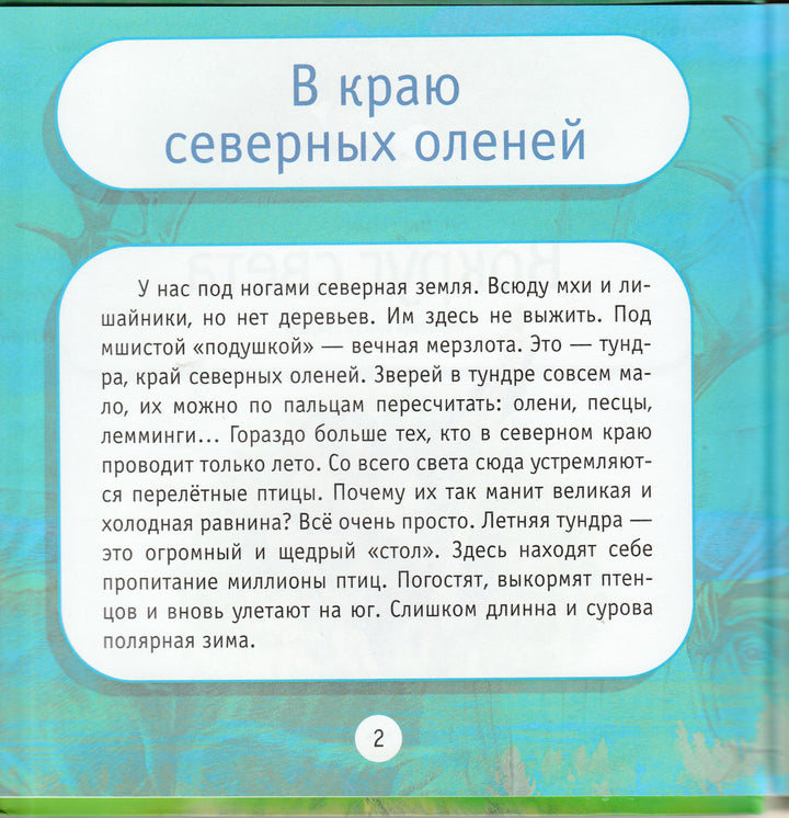 Вокруг света. Моя первая книга о природе-Тихонов А.-Дрофа-Плюс-Lookomorie